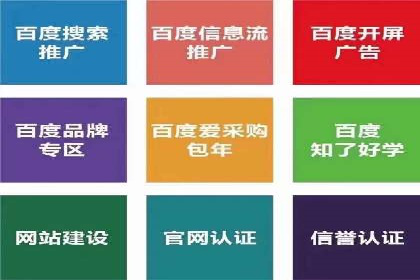 百度推广费用投入与品牌知名度提升的案例分析